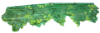 Picture of Tree Top Border
