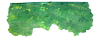 Picture of Tree Top Border