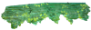 Picture of Tree Top Border