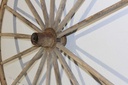 PDM-050-02.JPG
