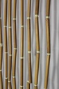 PDW-001-02.JPG