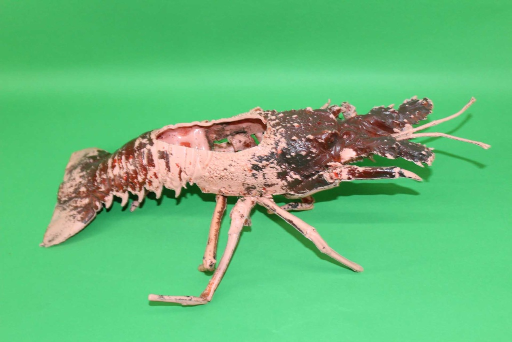 PKF-005-02.JPG