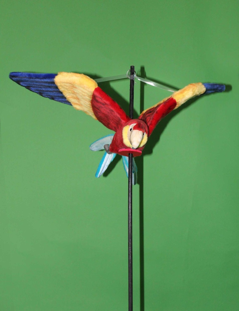 PPP-007-02.jpg