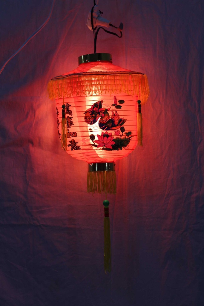 PLS-006-02.jpg
