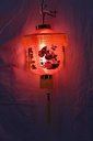 PLS-006-02.jpg