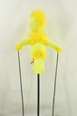 PPP-003-02.jpg