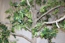 PDF-010-02 GREEN.JPG