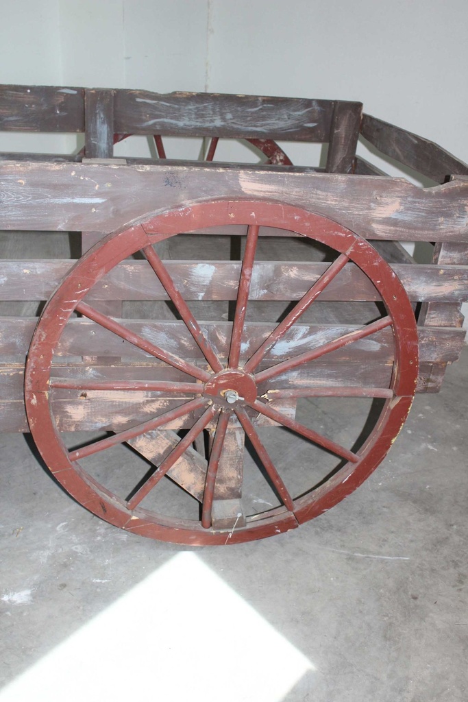 PFM-008-04.JPG