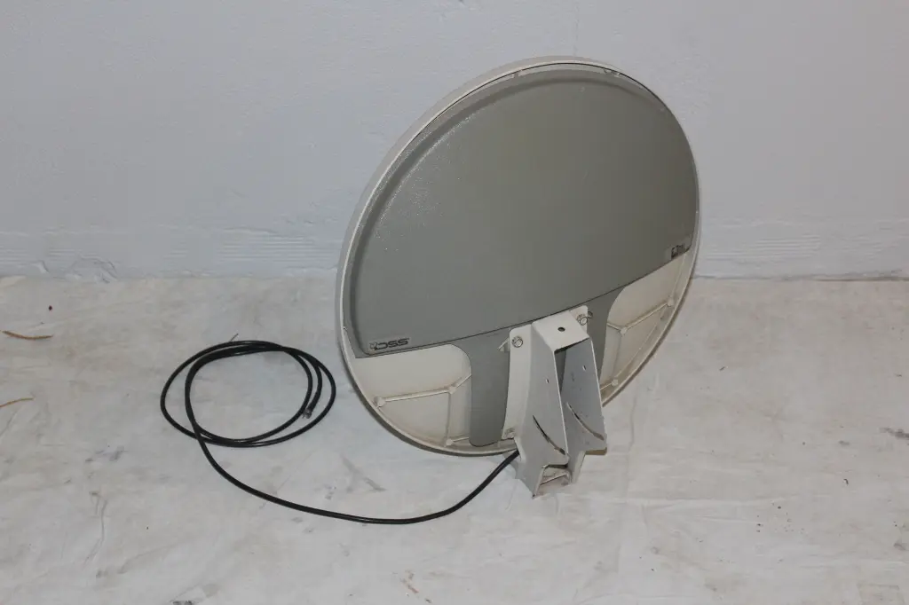 PET-021-02.webp