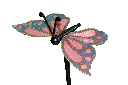 PPP-008-03.webp