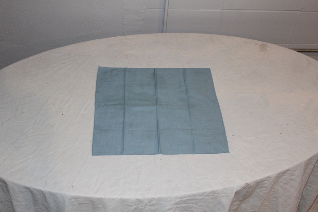 Napkin