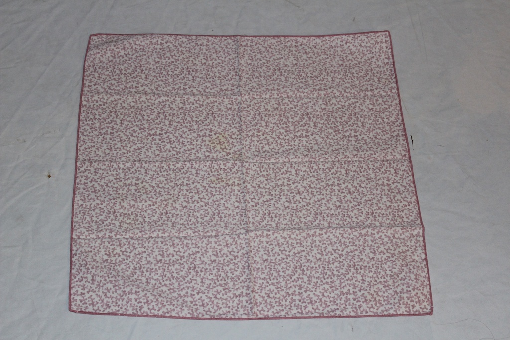 Napkin