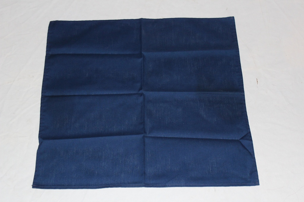 Napkin