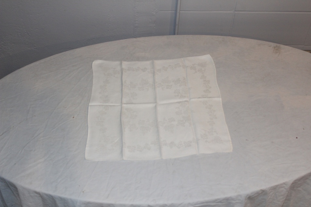Napkin