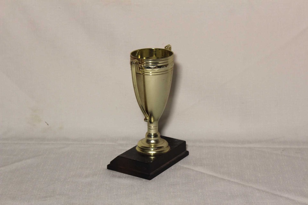 Trophy Cup