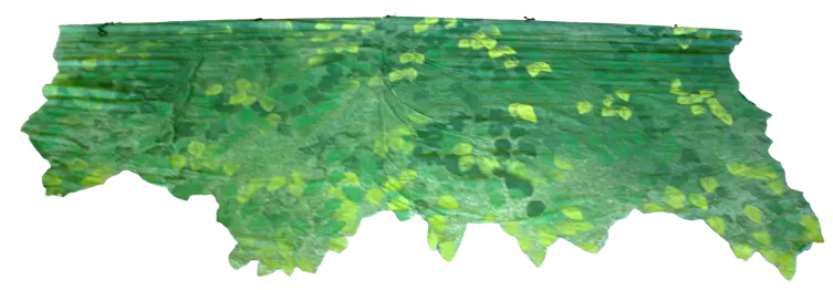 Tree Top Border