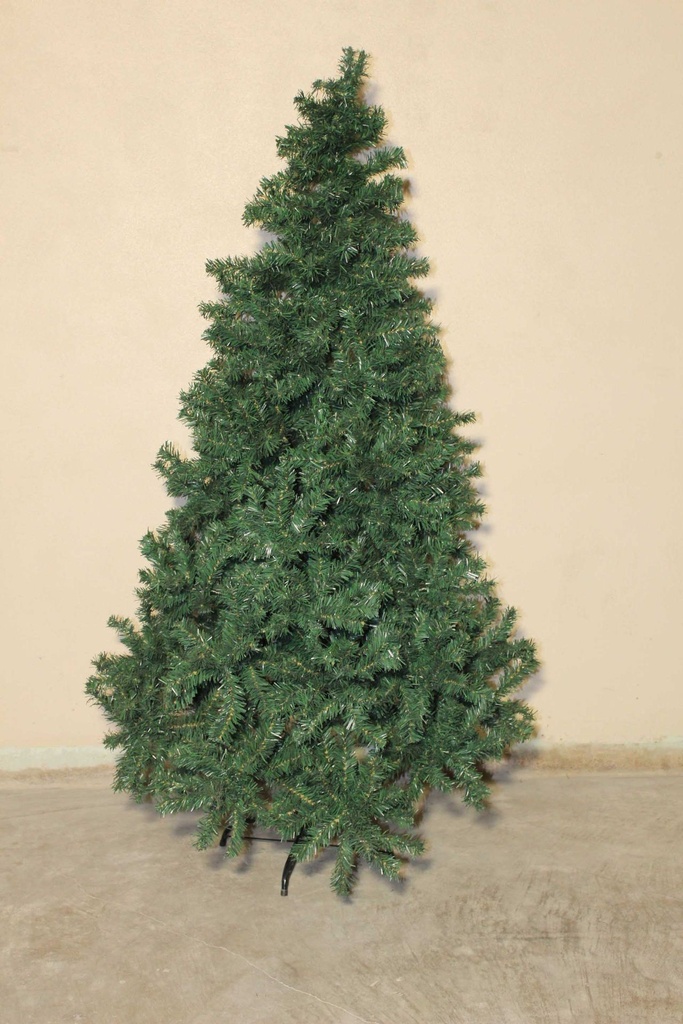 5' Evergreen