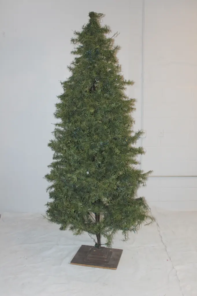 Evergreen - 8'