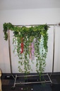 Ivy Curtains