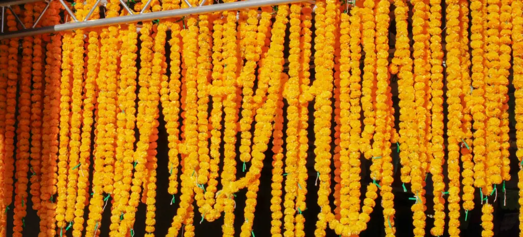 Marigolds
