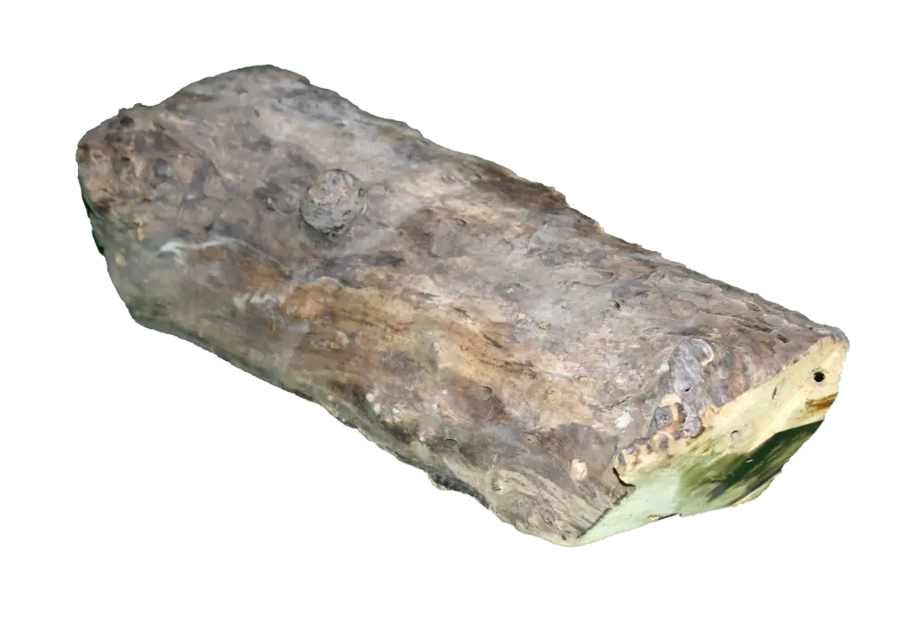 Chopped Log