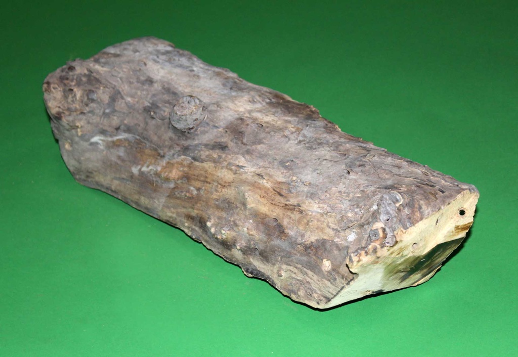 Chopped Log
