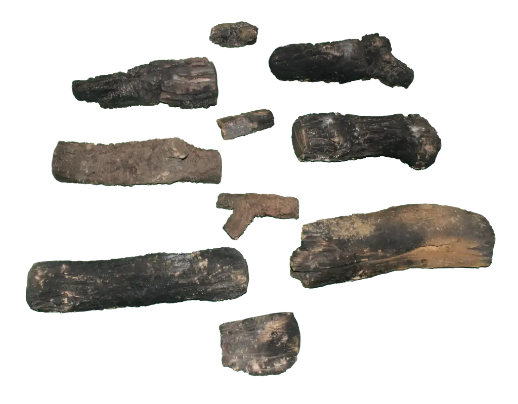 Gas Logs