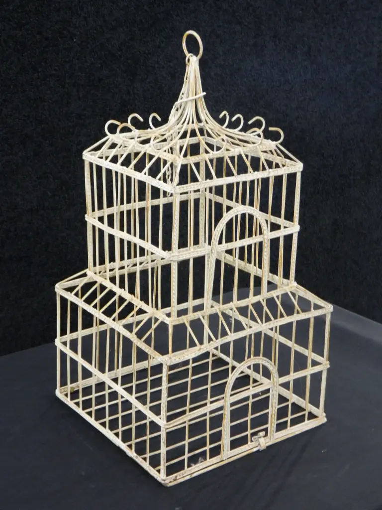 Bird Cage