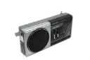 Portable Radio