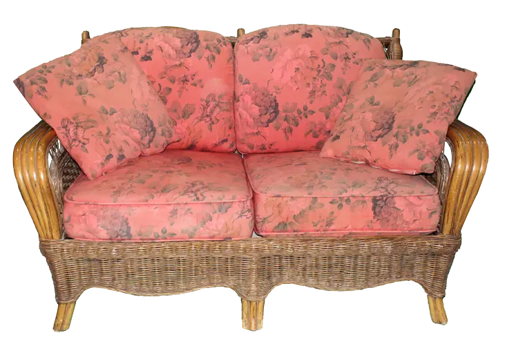 Rattan Loveseat & Ottoman