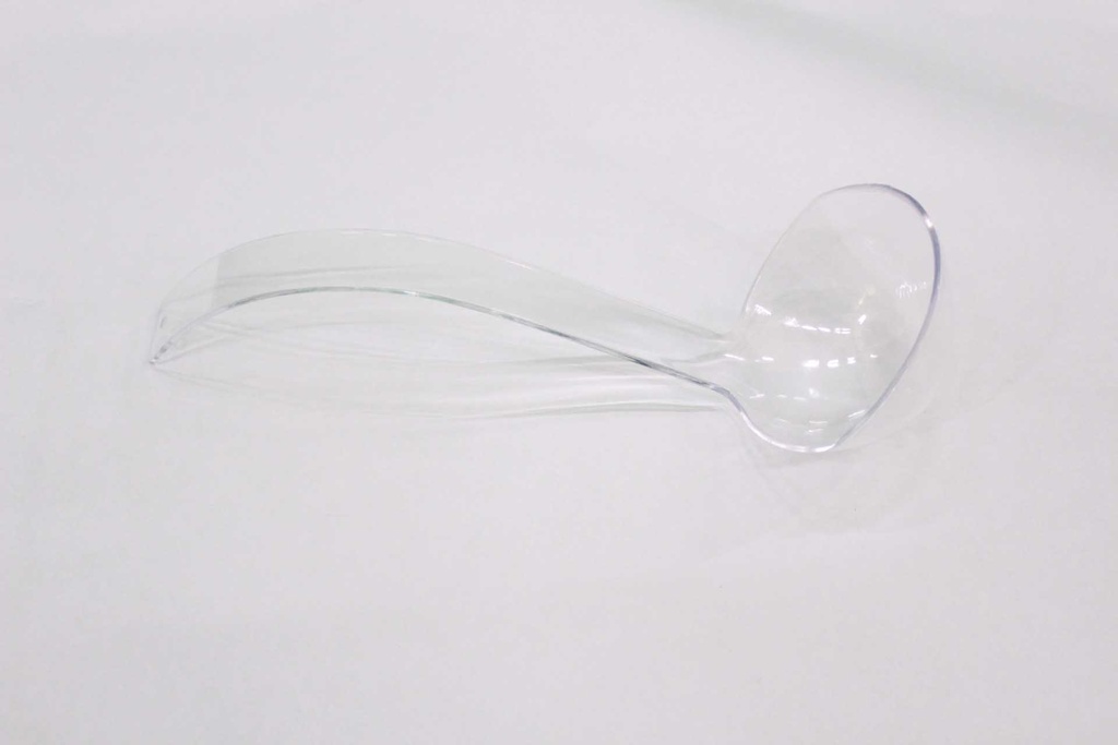 Punch Ladle
