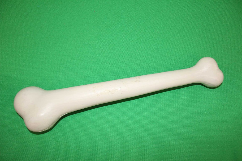 Cartoon Bone