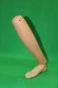 Human Prosthetic Leg