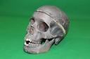 Human Skull