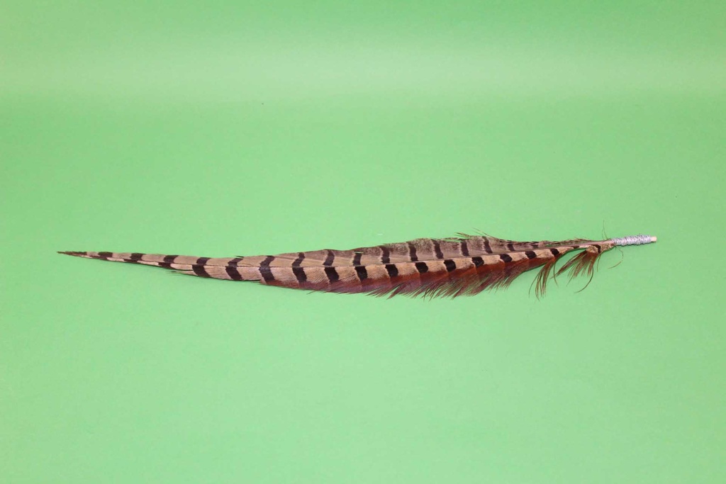 Feather Quill