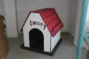 Snoopy House