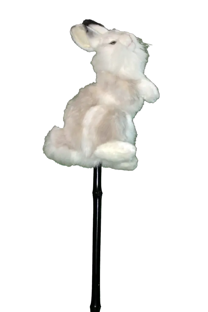 Bunny Rabbit - Travel Song Puppet