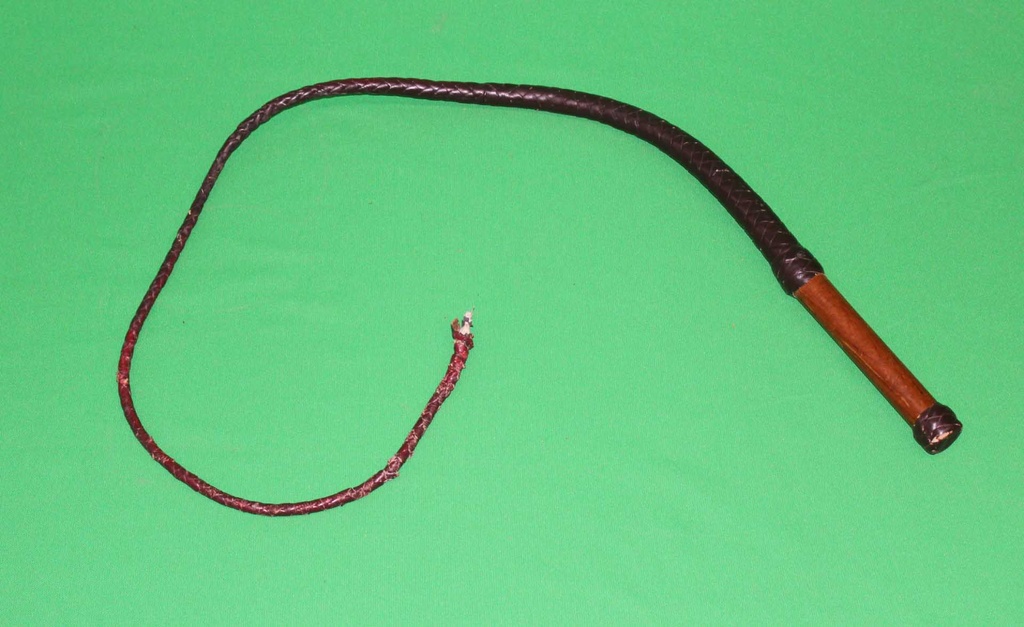 Bull Whip