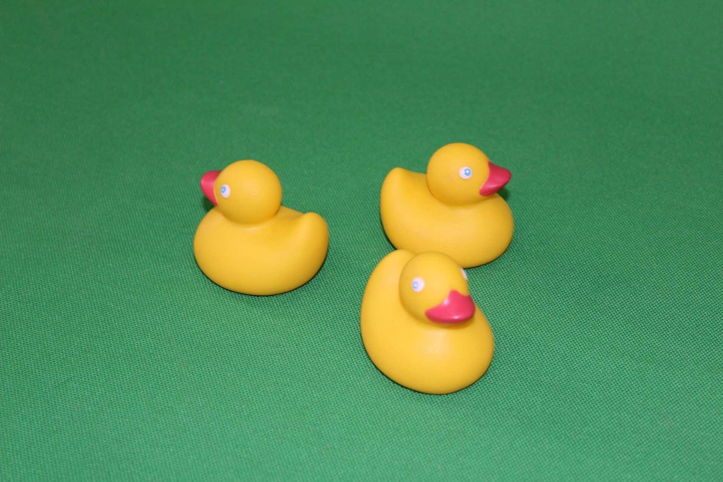 Rubber Ducks