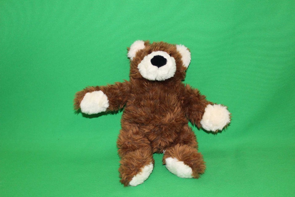 Teddy Bear