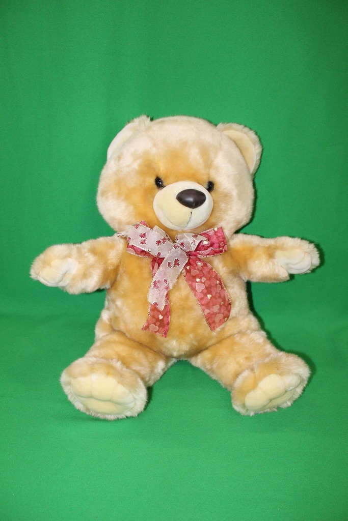 Teddy Bear
