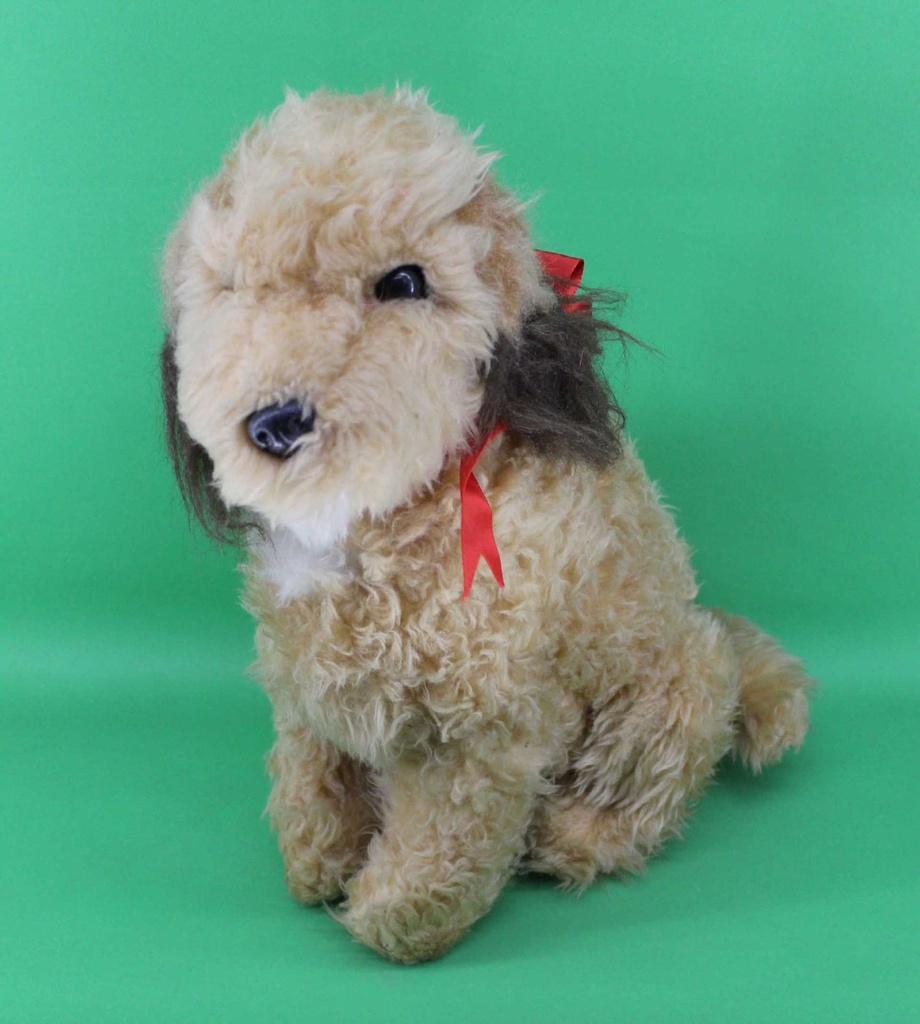 Benji Dog