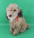 Benji Dog
