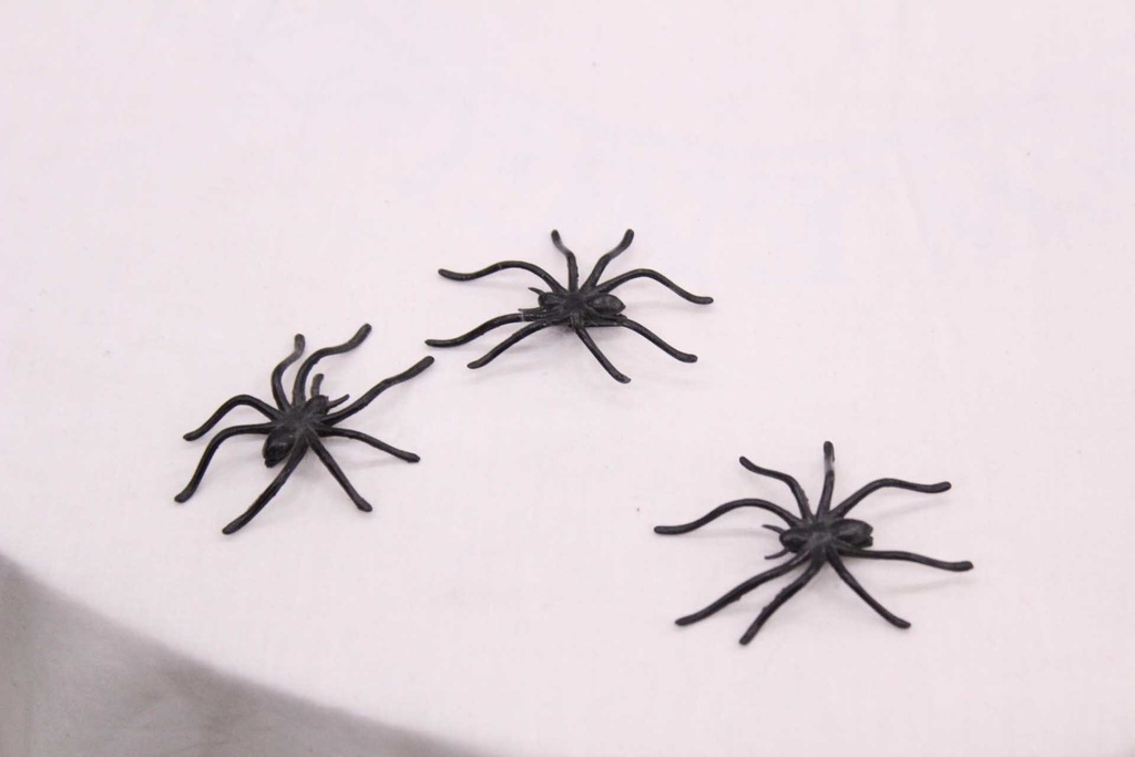 Bag of Spiders