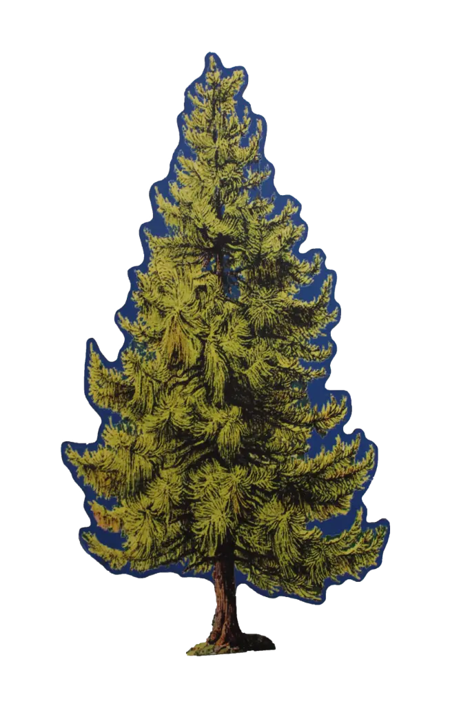 Pine Tree Flat - Large