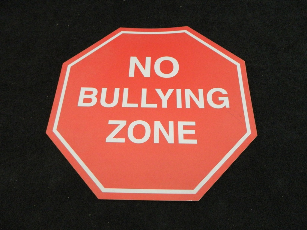 No Bullying Zone