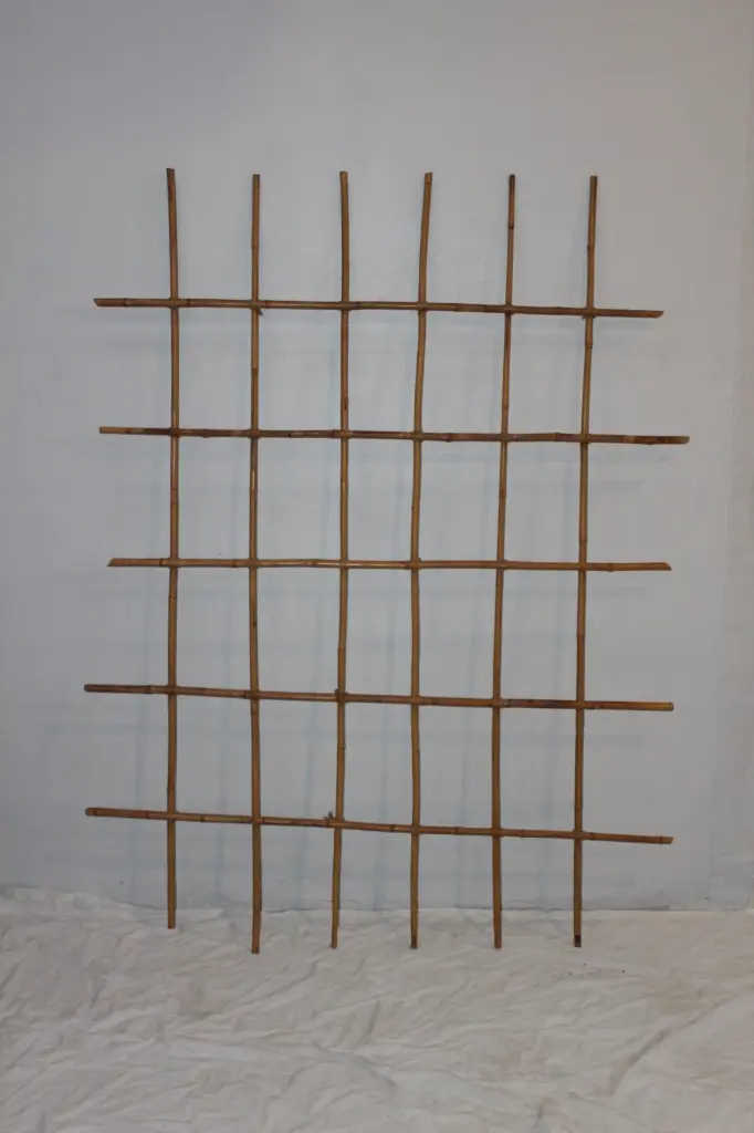 Bamboo Trellis