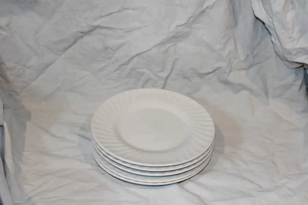 Dinner Plate