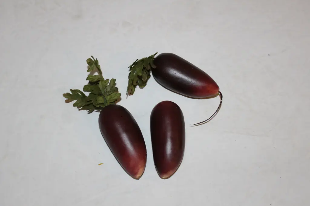 Radish
