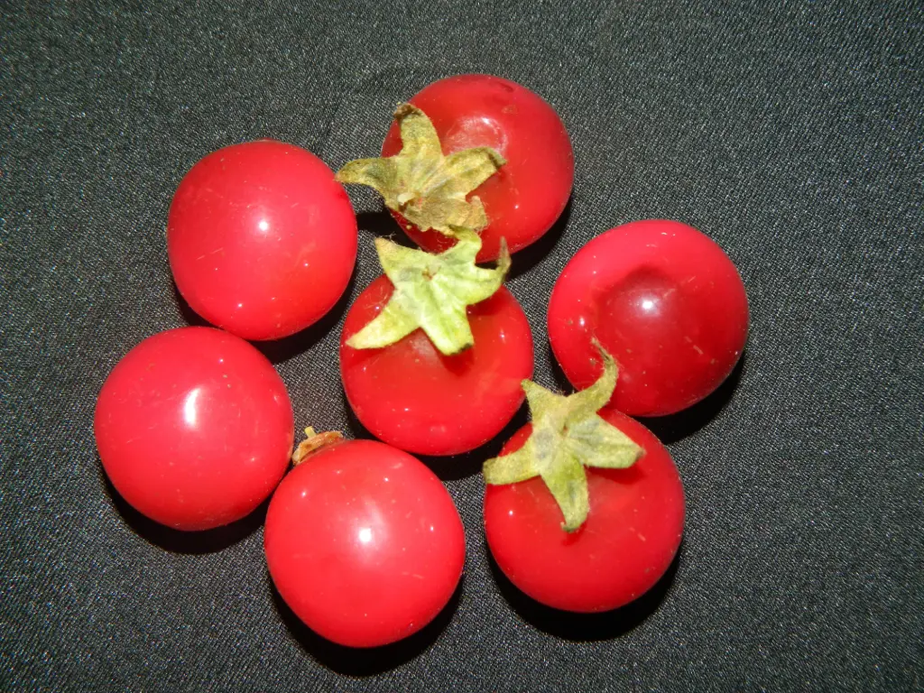 Cherry Tomatoes